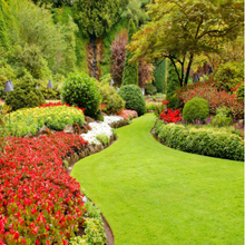 Load image into Gallery viewer, Grovida Garden Gro Shovel - Small - 68cm x 15cm x 6.5cm
