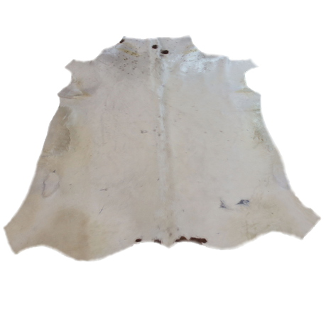 Authentic Nguni Cow Hide  - Ufukufuku