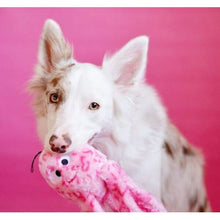 Load image into Gallery viewer, ZippyPaws Floppy Jelly
