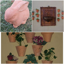 Load image into Gallery viewer, Terracotta Wall Planters Ceramic-Rim Theme
