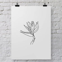 Load image into Gallery viewer, 3pc South African Flora Art Print Bundle
