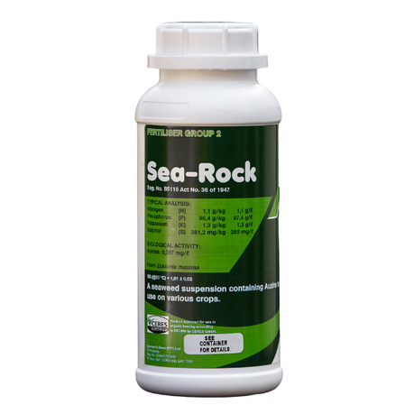 Sea RockLiquid Kelp 1L Buy Online in Zimbabwe thedailysale.shop
