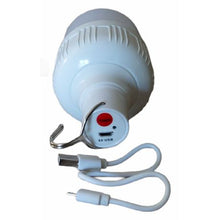 Load image into Gallery viewer, Out/Indoor Hanging Light, USB Charge, Multi 5 Transform Mode - Waterproof

