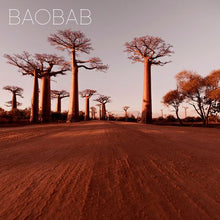 Load image into Gallery viewer, Africa Organics Boabab Shampoo - 1L
